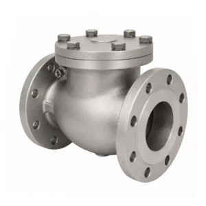 Din Non Return Valve