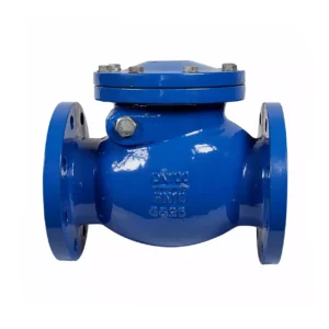 NON RETURN VALVE