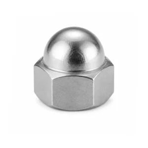acorn-nut
