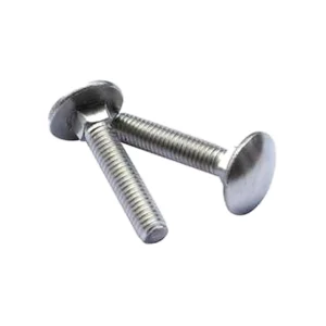 Two stainless steel carriage bolts with rounded heads and threaded shafts