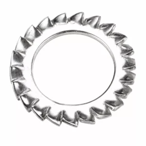 Serrated lock washer with internal teeth, also known as a plain washer