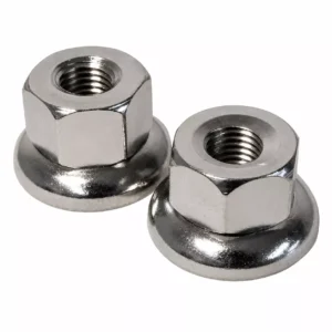 Two stainless steel blind nuts for fastening
